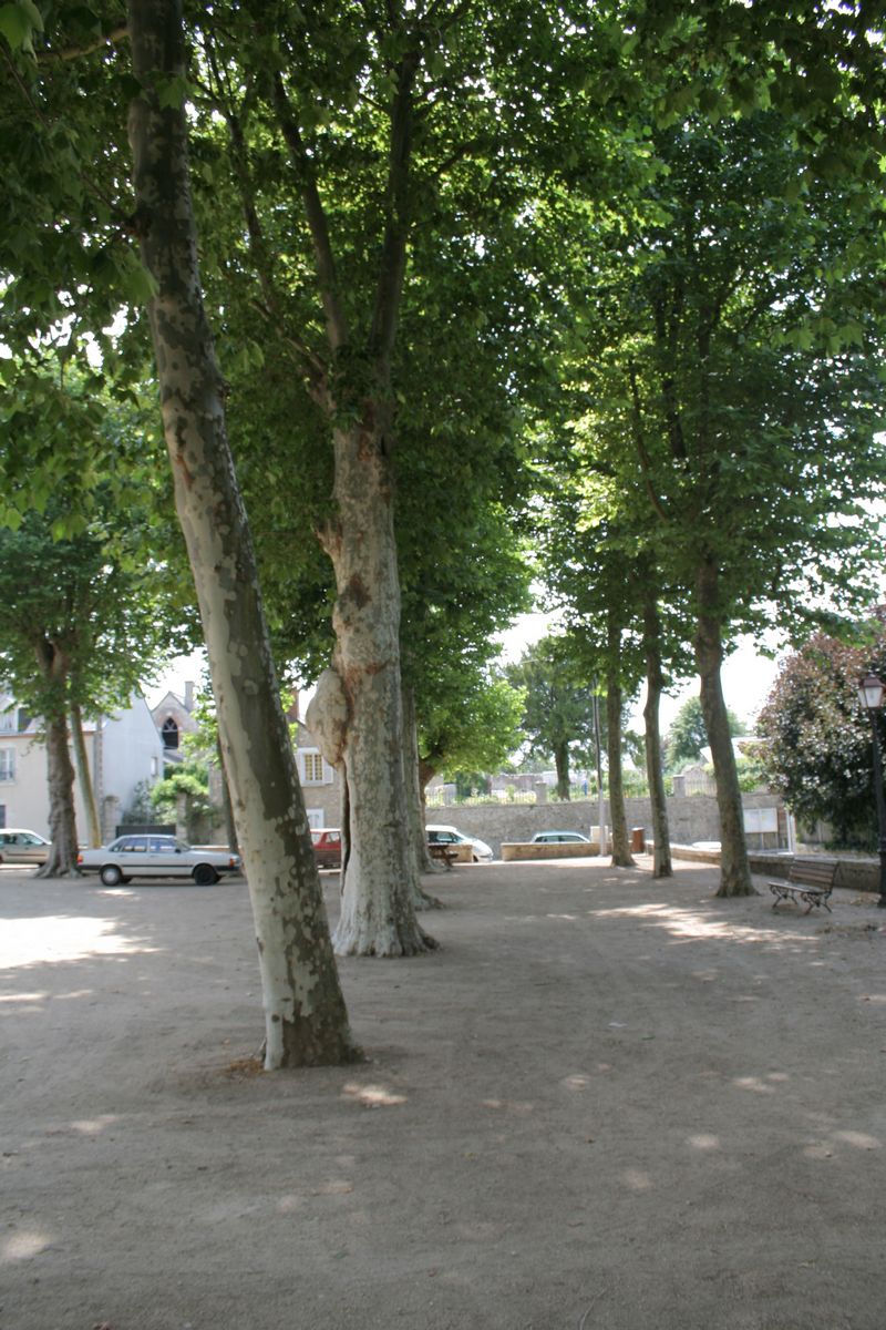 Place Prince de Chimay