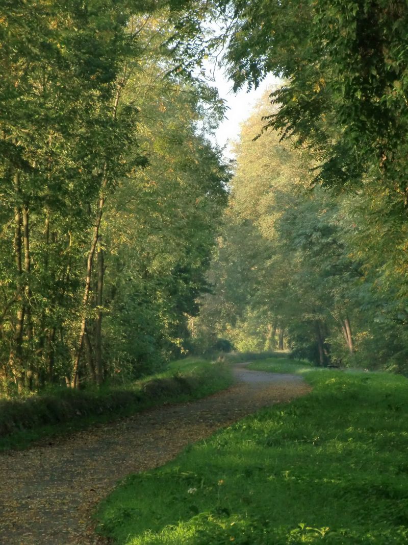 ...Chemin faisant en bord de Loire